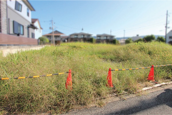 誠実な対応に感謝しています